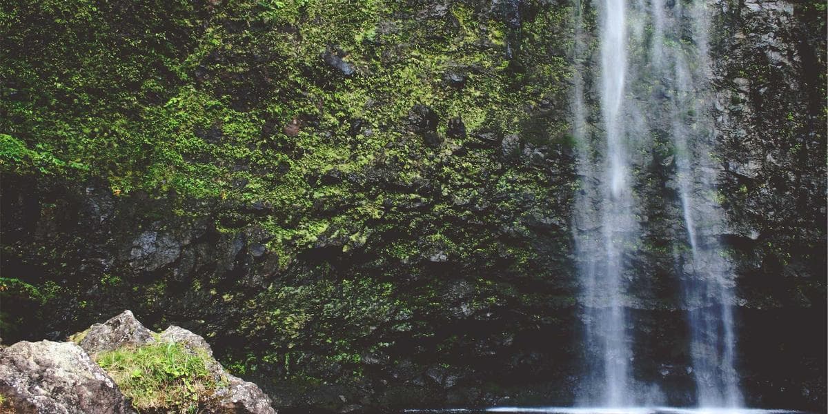 Torneio Arena dos Campeoes